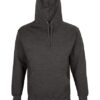 Unisex Condor Hooded Sweatshirt - charcoal-melange
